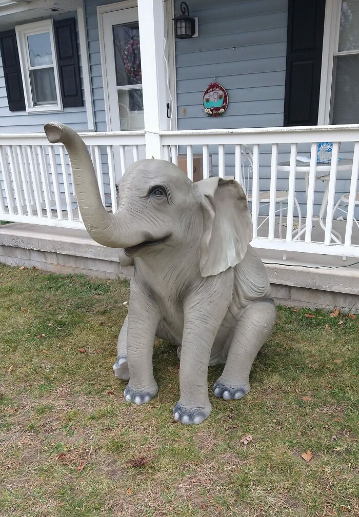 My Husband And I Have Seen This Adorable Elephant In Front Of A Flea Market In Pinconning, Michigan We Frequently Travel Past For The Last Few Months, And Always Talk About How Cute He Is And That We Want Him