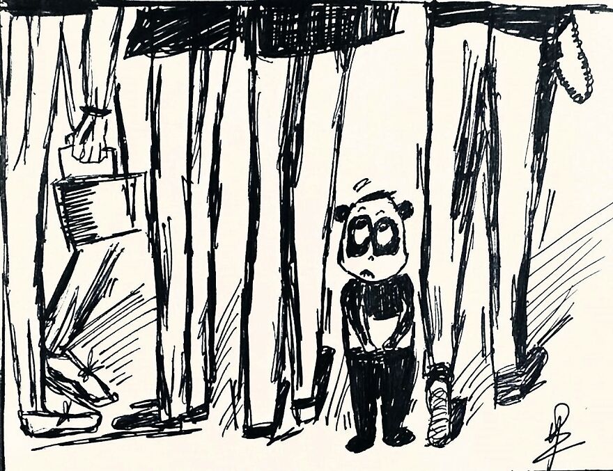 Life Of Mr.panda