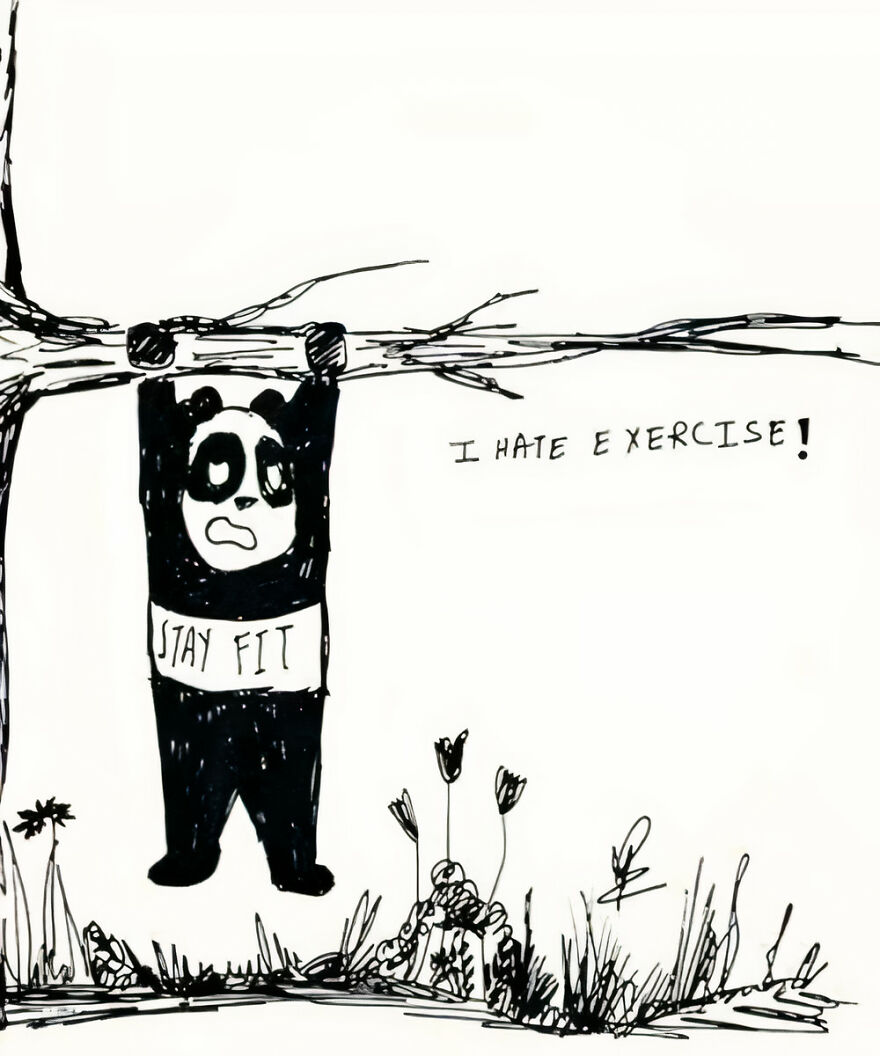 Life Of Mr.panda