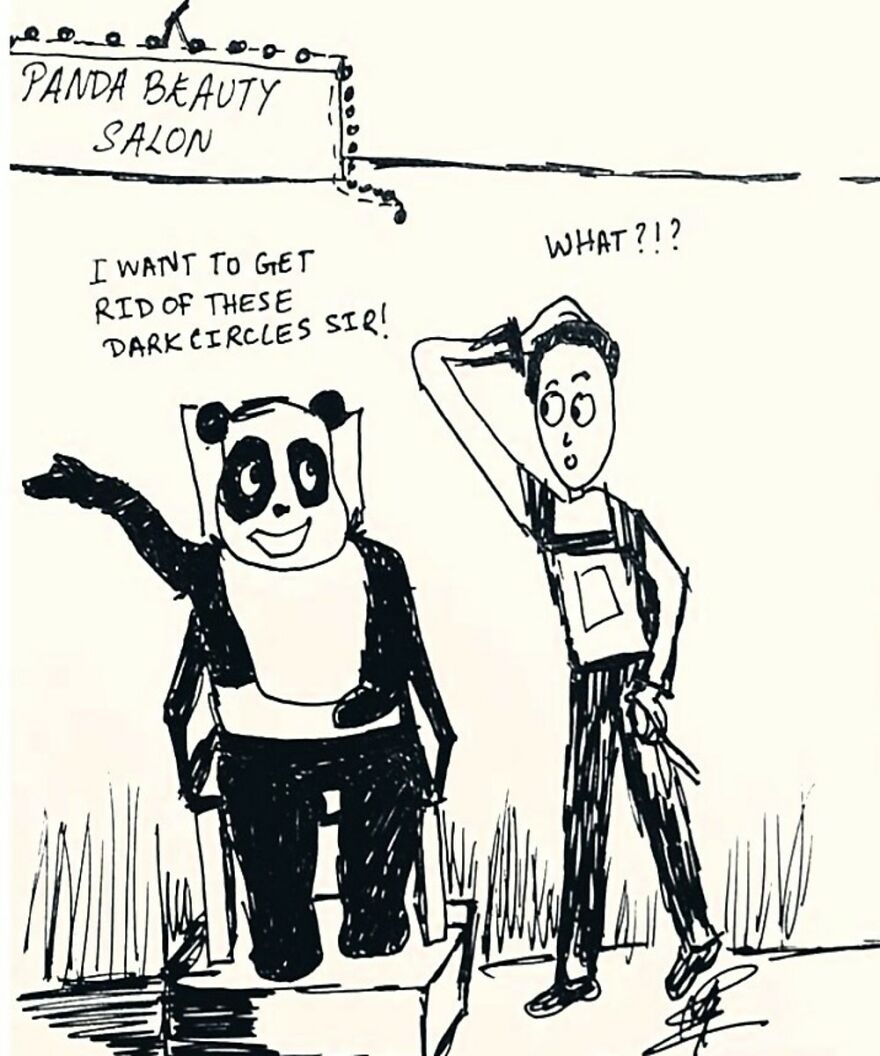 Life Of Mr.panda