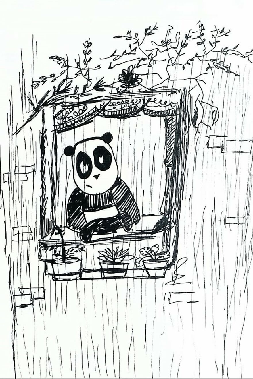 Life Of Mr.panda
