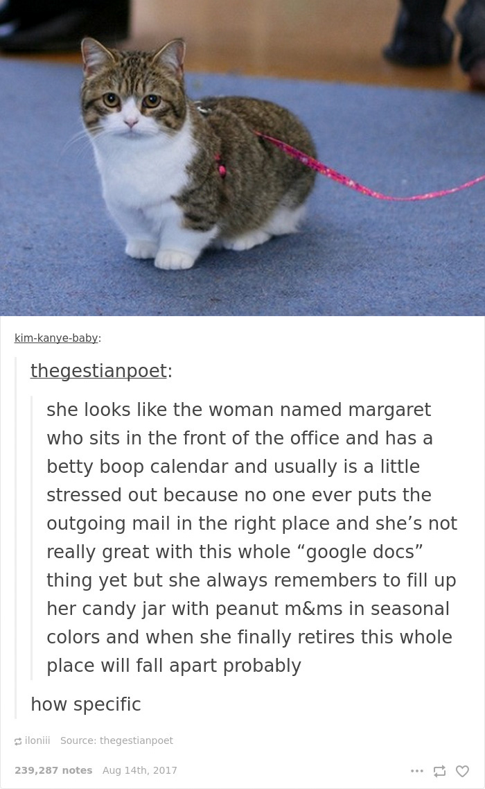 Margaret Will Solve All Your Problems