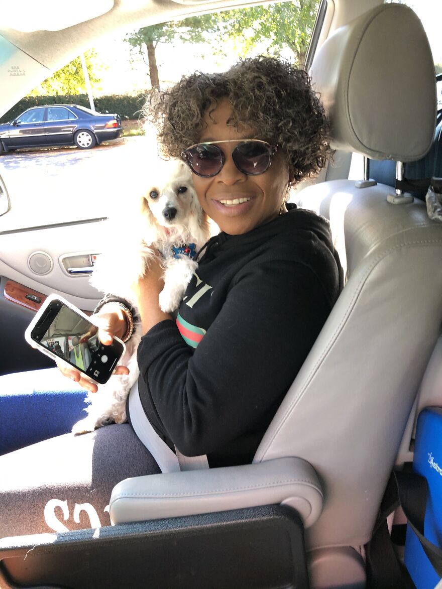 Meet Zazu My Toy Poodle.