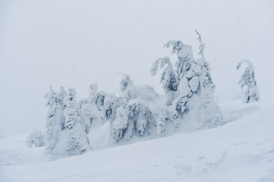 I Captured 40 Photos Of Winter In Ukrainian Carpathians