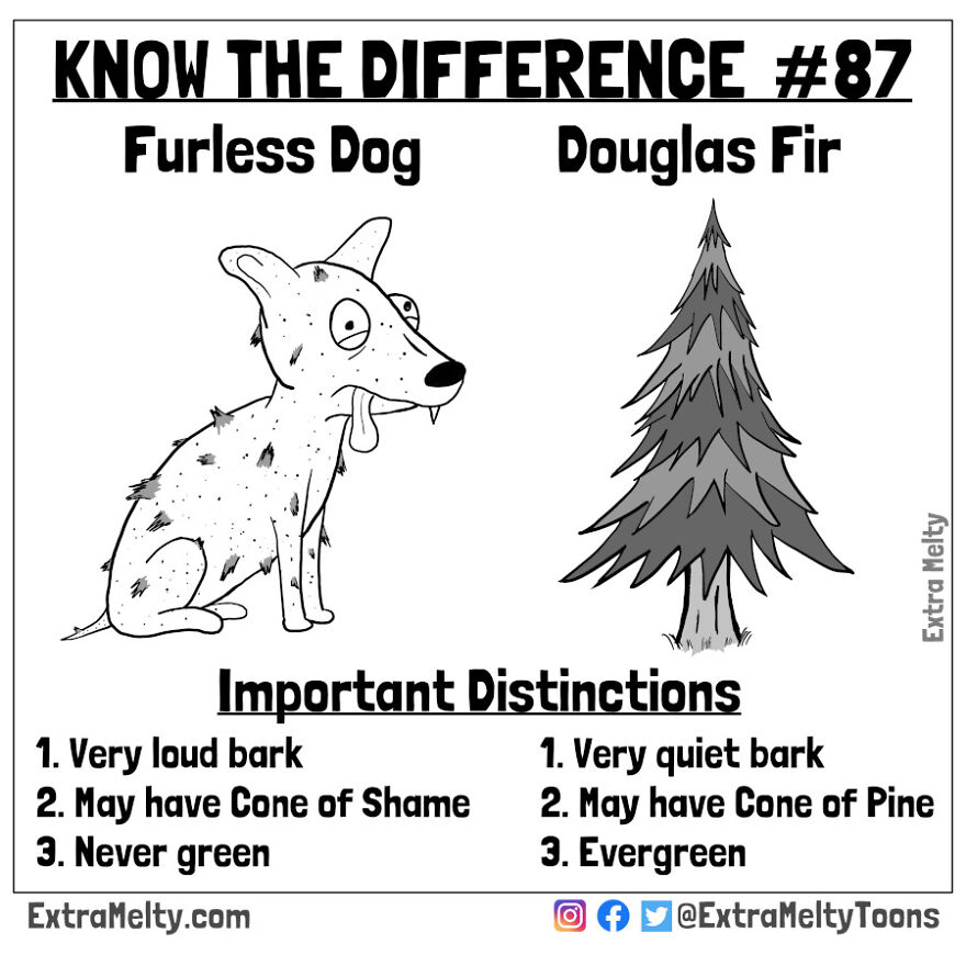 Know The Difference #87