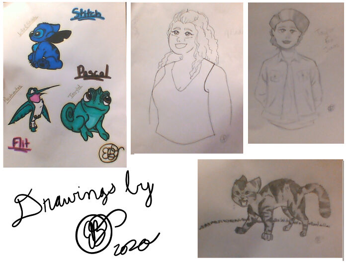 Just A Couple Drawings I Made. Disney Animals, A Portrait Of My Sister, A Drawing Of A Random Person, And A Hissing Kitten