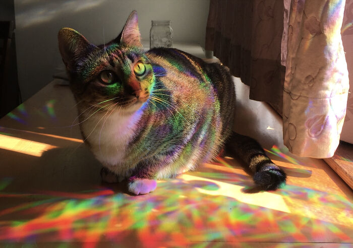 Artemis Can Rainbow Too