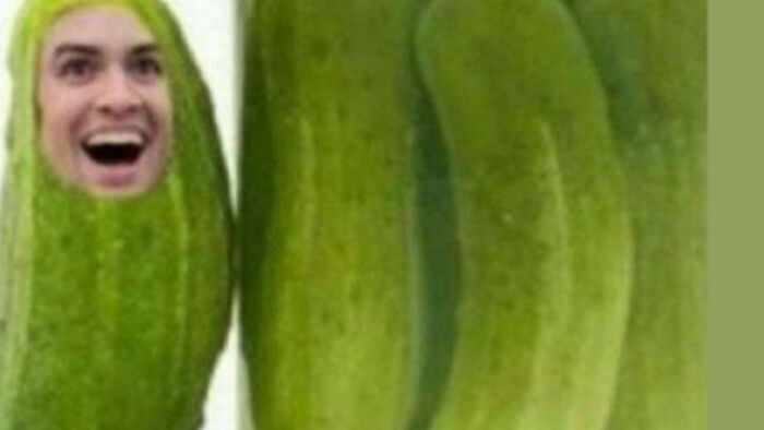 Hey Im A Pickle