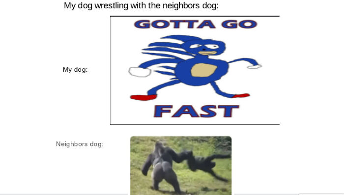 My Dog vs. Neighbors Dog