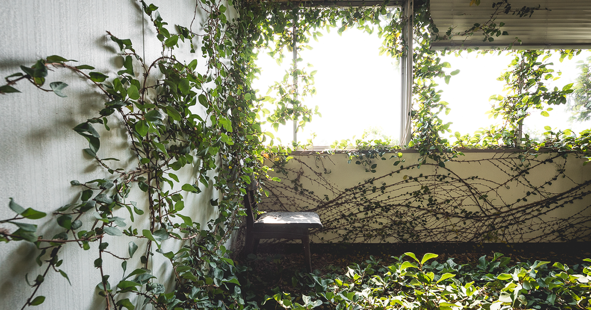 My 36 Photos Show The Abandoned Ghost Island Of Ikeshima, Japan - Vimarsana News