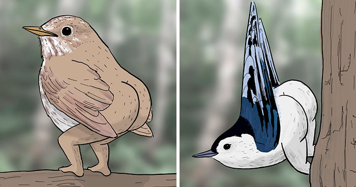 People ‘Criticized’ How This Artist Drew Bird Legs, So He Trolled Them By “Fixing” The Legs