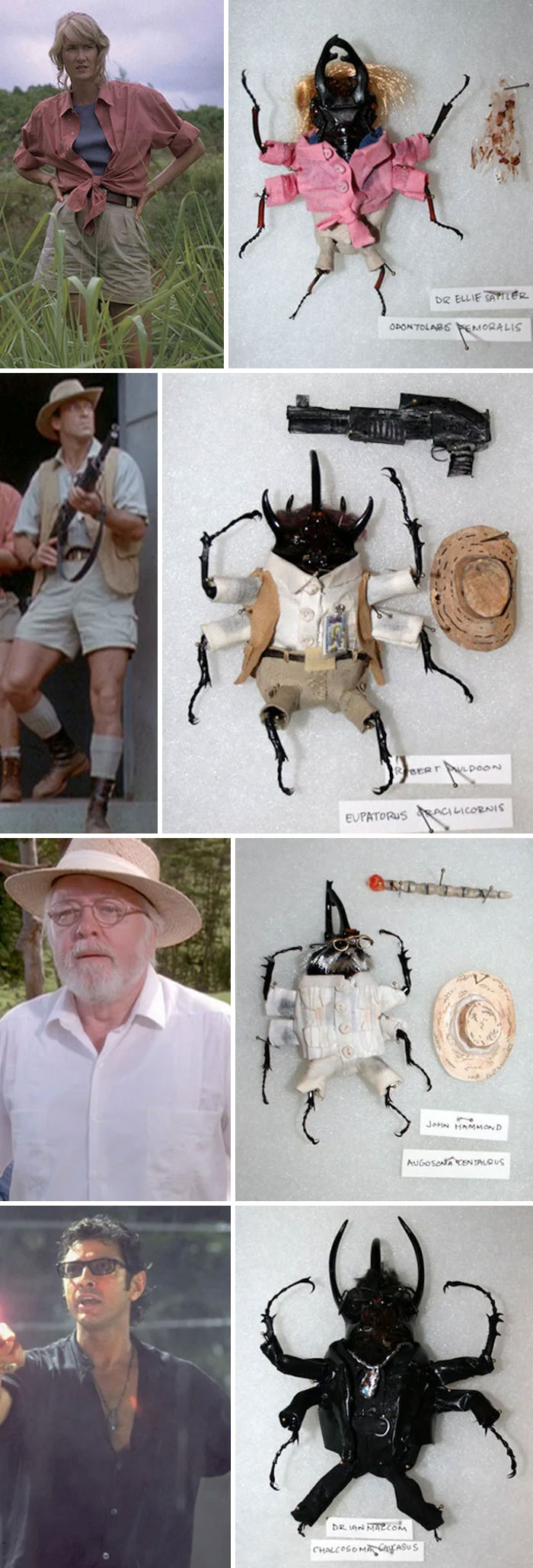 En Etsy venden escarabajos muertos disfrazados de personajes de Parque Jurásico