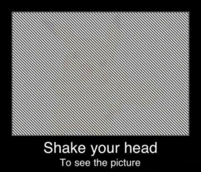 Shake Your Head Side-To-Side To See Pikachu.