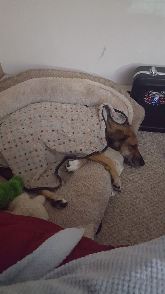 She Can't Sleep Without Her Blanket