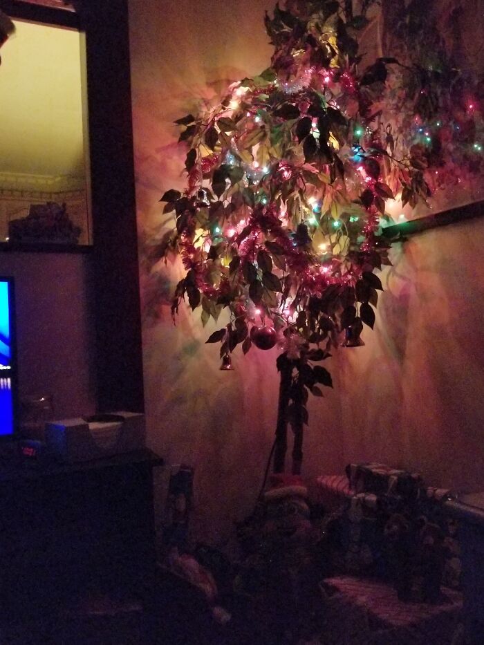 This Is My Familys "Charlie Brown" Christmas Tree. Its Brought Us Hope So Here's To Sharing