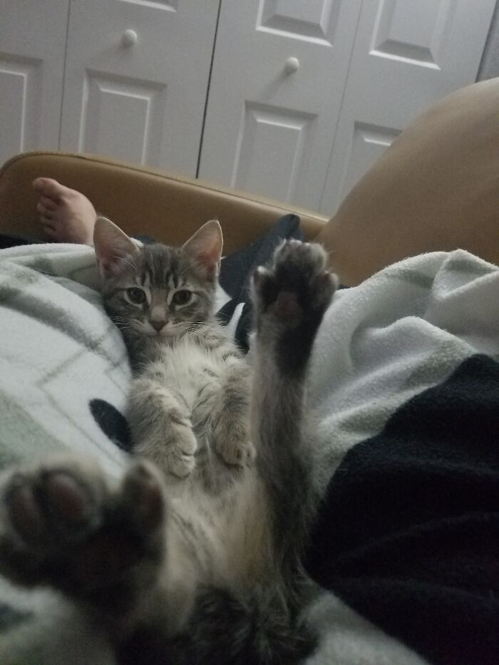 Captain Jean Luc Picard Says Hi.. With The Feets