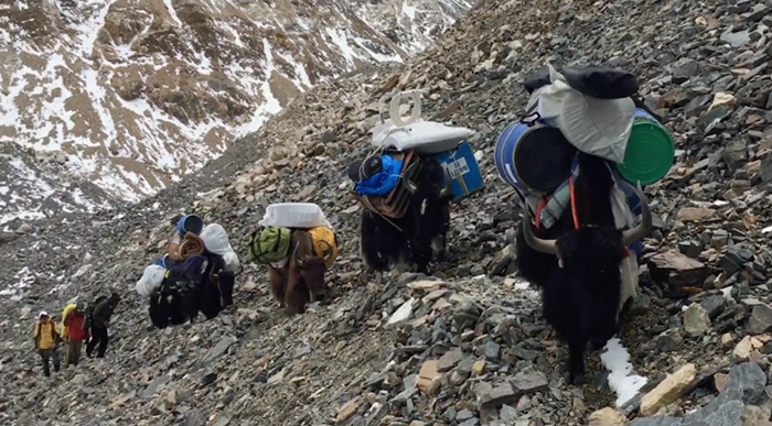 Alpinist Organizes A Massive Clean-Up Of Mount Everest, Removes 8.5 Tons Of Rubbish