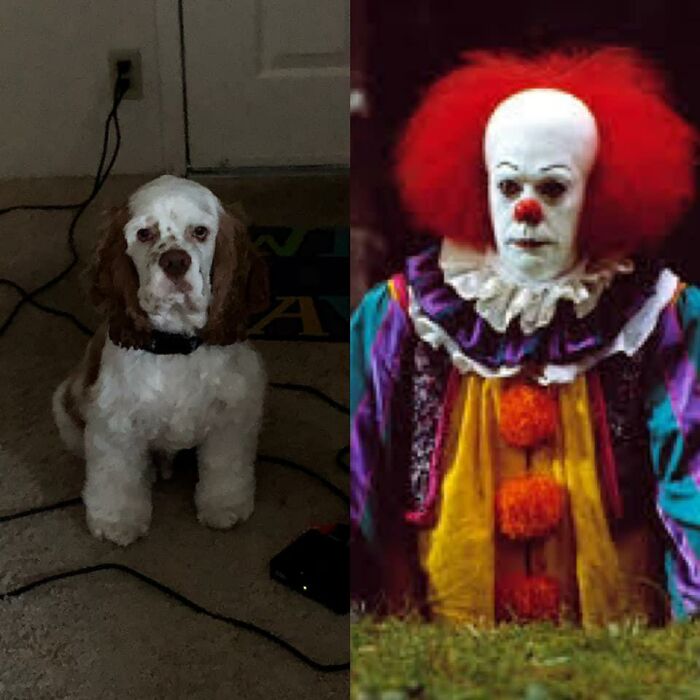 He Doesn’t Always Look Like Pennywise But Still Always Looks Goofy