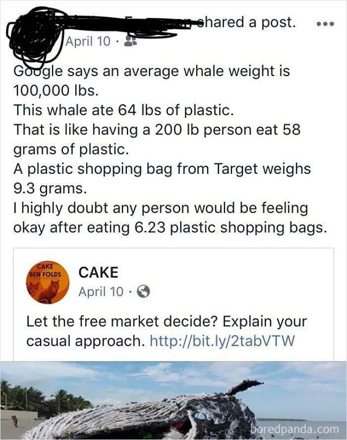 A Whale Died With 64 Lbs Of Plastic In Its Stomach