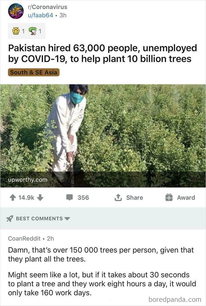 That’s A Lot Of Trees