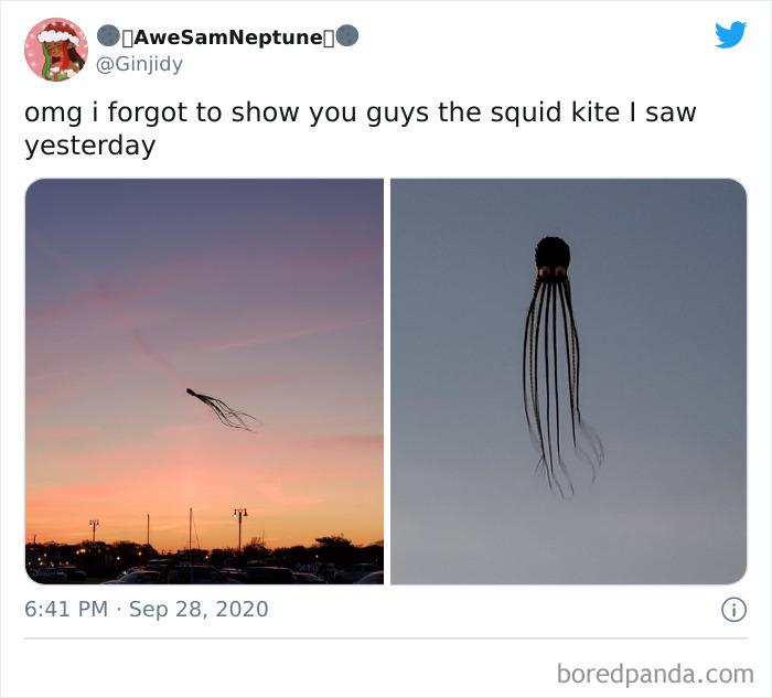 Didn't Know I Wanted Squid Kite