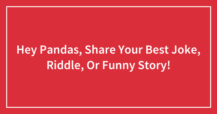 Hey Pandas, Share Your Best Joke, Riddle, Or Funny Story! (Closed)