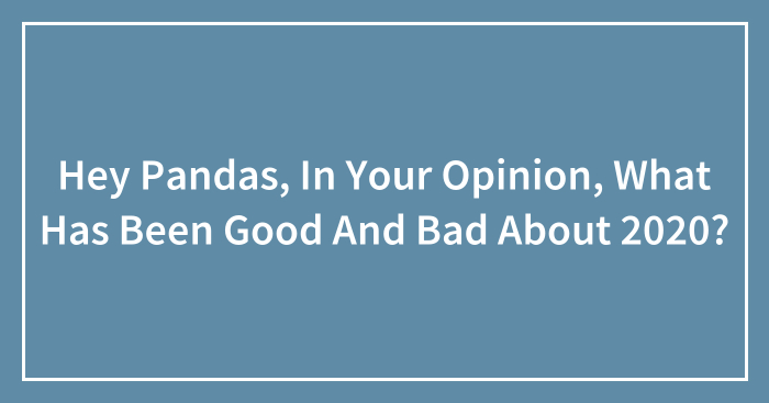 Hey Pandas, In Your Opinion, What Has Been Good And Bad About 2020? (Closed)
