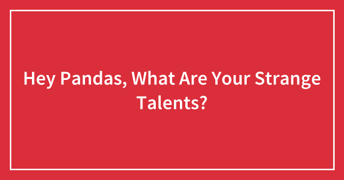 Hey Pandas, What Are Your Strange Talents? (Closed)