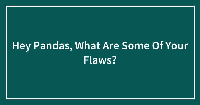 Hey Pandas, What Are Some Of Your Flaws? (Closed)