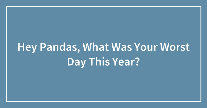 Hey Pandas, What Was Your Worst Day This Year? (Closed)