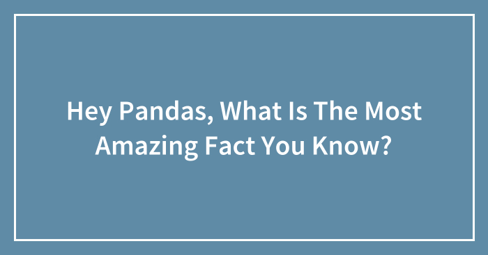 Hey Pandas, What Is The Most Amazing Fact You Know? (Closed)