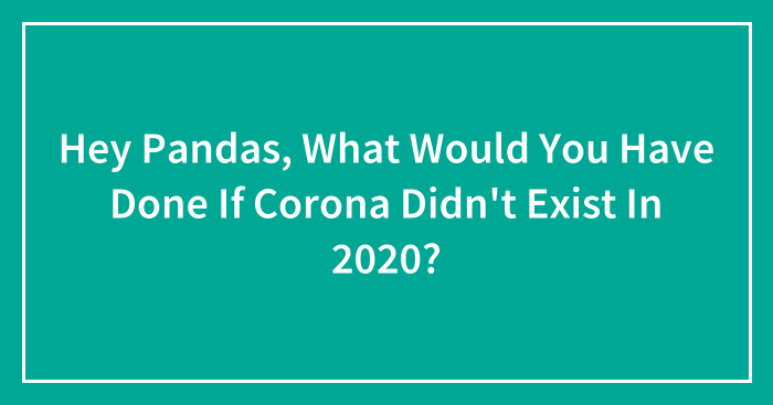 Hey Pandas, What Would You Have Done If Corona Didn’t Exist In 2020? (Closed)