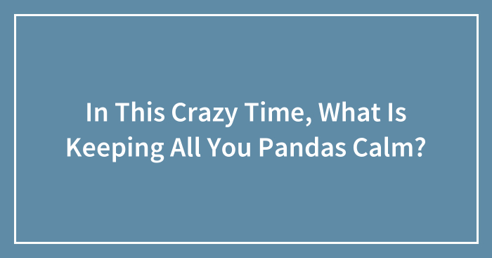 In This Crazy Time, What Is Keeping All You Pandas Calm? (Closed)