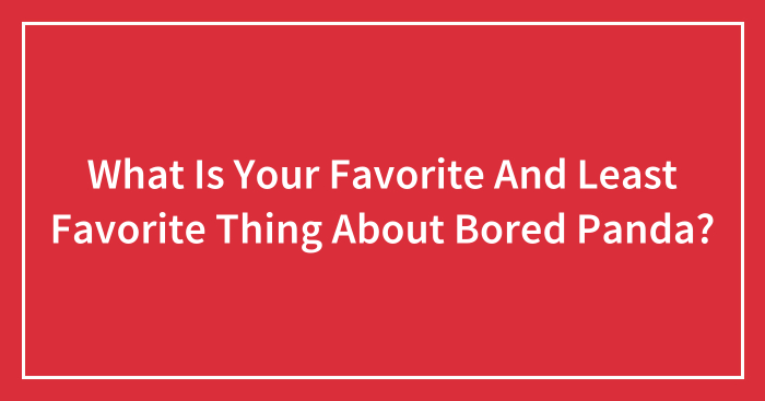 What Is Your Favorite And Least Favorite Thing About Bored Panda? (Closed)