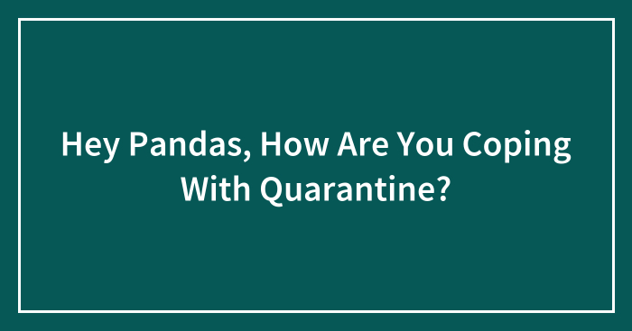Hey Pandas, How Are You Coping With Quarantine? (Closed)