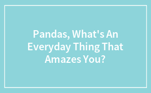 Pandas, What's An Everyday Thing That Amazes You?