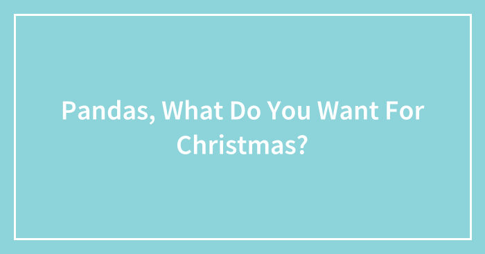 Pandas, What Do You Want For Christmas? (Closed)