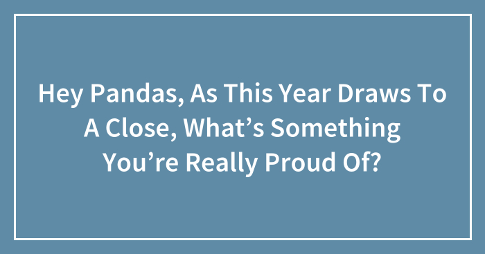 Hey Pandas, As This Year Draws To A Close, What’s Something You’re Really Proud Of? (Closed)