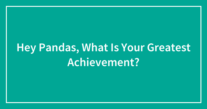Hey Pandas, What Is Your Greatest Achievement? (Closed)