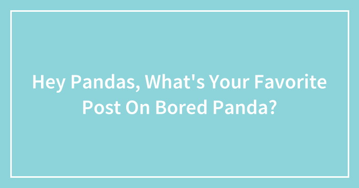 Hey Pandas, What’s Your Favorite Post On Bored Panda? (Closed)