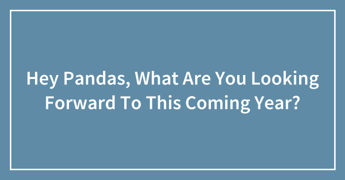 Hey Pandas, What Are You Looking Forward To This Coming Year? (Closed)