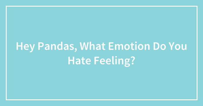 Hey Pandas, What Emotion Do You Hate Feeling? (Closed)