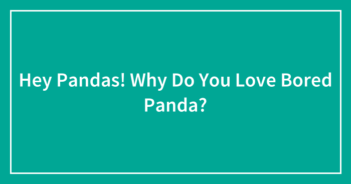 Hey Pandas! Why Do You Love Bored Panda?