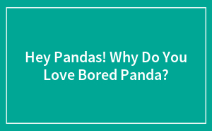 Hey Pandas! Why Do You Love Bored Panda?