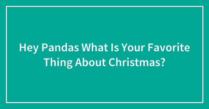 Hey Pandas What Is Your Favorite Thing About Christmas? (Closed)