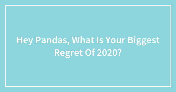 Hey Pandas, What Is Your Biggest Regret Of 2020? (Closed)