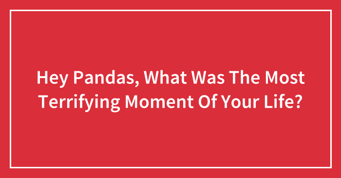 Hey Pandas, What Was The Most Terrifying Moment Of Your Life? (Closed)