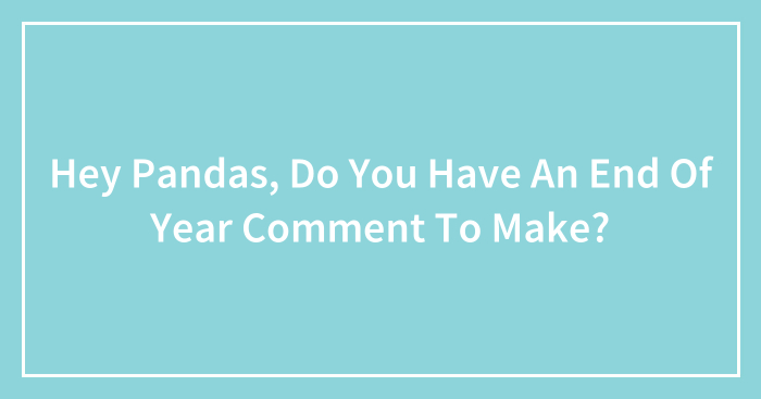 Hey Pandas, Do You Have An End Of Year Comment To Make? (Closed)