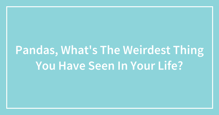 Pandas, What’s The Weirdest Thing You Have Seen In Your Life? (Closed)