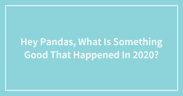 Hey Pandas, What Is Something Good That Happened In 2020? (Closed)